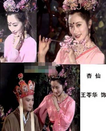 Hiện cô là giáo viên dạy múa cổ điển Trung Hoa, rất nổi tiếng tại vùng và được nhiều học sinh và phụ huynh yêu mến. Vương Linh Hoa đã có hai con trai, và cô là một trong số hiếm hoi nghệ sĩ Tây Du Ký năm xưa ở nước ngoài mà Lục Tiểu Linh Đồng và đoàn phim còn liên lạc được.