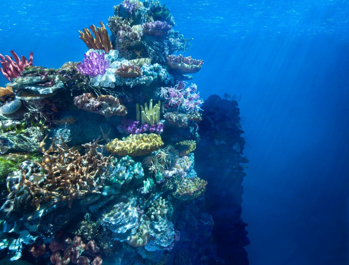 "Dưới đáy đại dương". Được tạo ra từ quả óc chó, sáp nến, dây điện, bi ve, vỏ đậu, xơ vụn, thạch cao, sao biển, rêu, bọt biển, vỏ sò tráng, kem đánh răng, đất sét, sung, vải, lông.