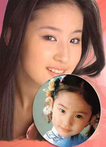 Lưu Diệc Phi. Lưu Diệc Phi.