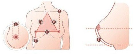 Cách đo vòng một của các nữ sinh đăng ký tham dự cuộc thi này.