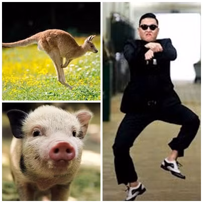 Ca khúc mới của Psy sẽ có sự xuất hiện của chuột túi và lợn.