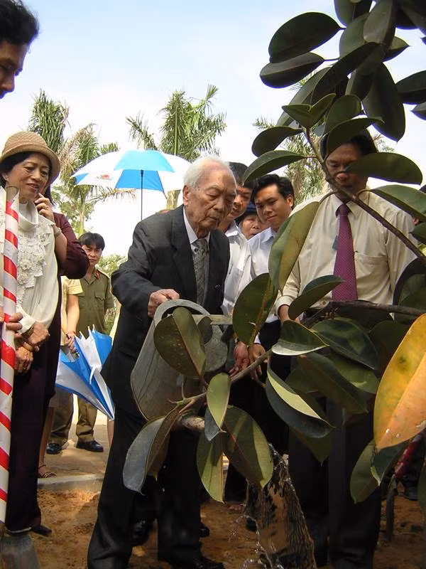 "Cây đa bây giờ đã cao lớn rồi..."