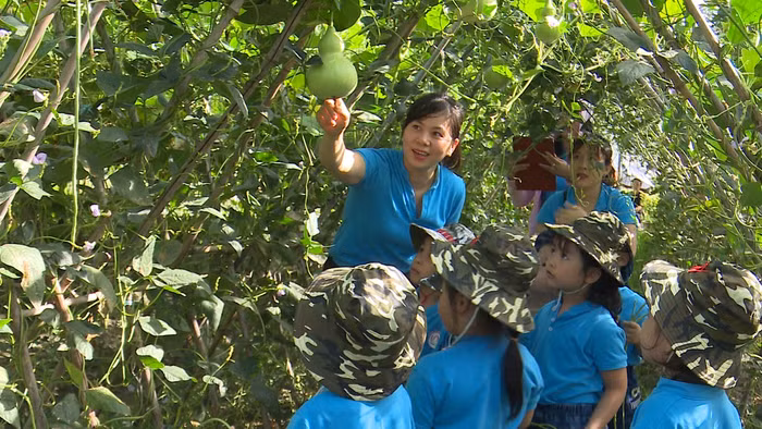 Các em học sinh được tham quan vườn rau và trải nghiệm thu hoạch nông sản. (Ảnh: Lã Tiến) Các em học sinh được tham quan vườn rau và trải nghiệm thu hoạch nông sản. (Ảnh: Lã Tiến)