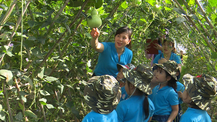 Các em học sinh được tham quan vườn rau và trải nghiệm thu hoạch nông sản. (Ảnh: Lã Tiến) Các em học sinh được tham quan vườn rau và trải nghiệm thu hoạch nông sản. (Ảnh: Lã Tiến)