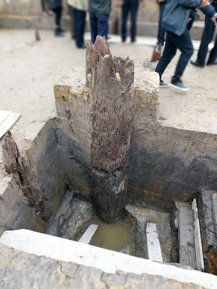 Nhiều chiếc cọc to được làm bằng gỗ lim, nằm sau dưới lòng đất (Ảnh: Lã Tiến) Nhiều chiếc cọc to được làm bằng gỗ lim, nằm sau dưới lòng đất (Ảnh: Lã Tiến)