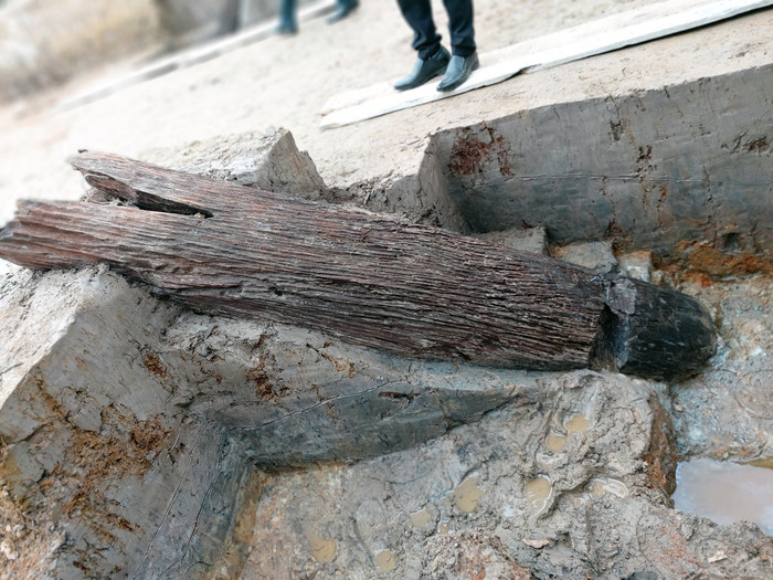 Nhiều chiếc cọc to, nằm nghiêng có ngoàm dùng để luồn dây hoặc để giằng ngang (Ảnh: Lã Tiến) Nhiều chiếc cọc to, nằm nghiêng có ngoàm dùng để luồn dây hoặc để giằng ngang (Ảnh: Lã Tiến)