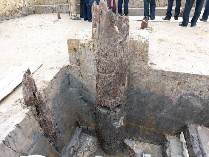 Các cọc gỗ cổ có thể được chôn/đóng xuống qua lớp bùn đen có niên đại khoảng nghìn năm (Ảnh: Lã Tiến) Các cọc gỗ cổ có thể được chôn/đóng xuống qua lớp bùn đen có niên đại khoảng nghìn năm (Ảnh: Lã Tiến)