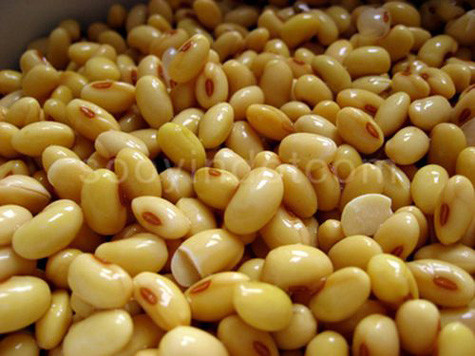 Đậu tương: chứa nhiều axit béo linoleic - thành phần quan trọng của màng tế bào, giúp cho sự phát triển của cơ thể. Hai chất oestrogen thực vật trong đậu tương là daidzein và genistein có tác dụng ngăn ngừa ung thư vú ở phụ nữ, ung thư tuyến tiền liệt ở nam giới và ung thư dạ dày. Xem thêm: Những món ăn dân dã/ Những món ăn từ côn trùng/ Những món cháo ngon Đậu tương: chứa nhiều axit béo linoleic - thành phần quan trọng của màng tế bào, giúp cho sự phát triển của cơ thể. Hai chất oestrogen thực vật trong đậu tương là daidzein và genistein có tác dụng ngăn ngừa ung thư vú ở phụ nữ, ung thư tuyến tiền liệt ở nam giới và ung thư dạ dày. Xem thêm: Những món ăn dân dã/ Những món ăn từ côn trùng/ Những món cháo ngon