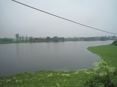 Khu hồ hiện ông Nghệ đang thầu. Khu hồ hiện ông Nghệ đang thầu.