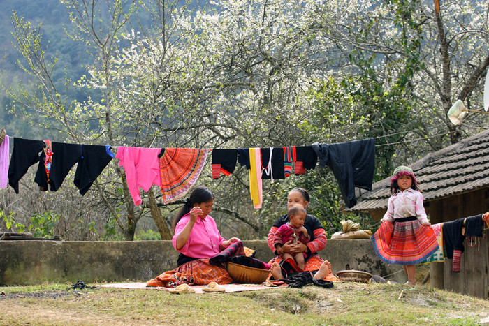 Người dân tộc H'Mông ở vùng cao nguyên Mộc Châu. Ảnh: Tùng Dương.