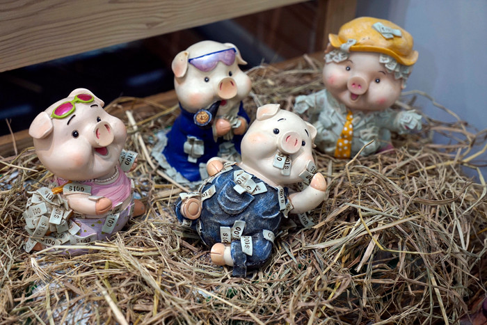 4 chú lợn con tinh nghịch. Ảnh: Tùng Dương.