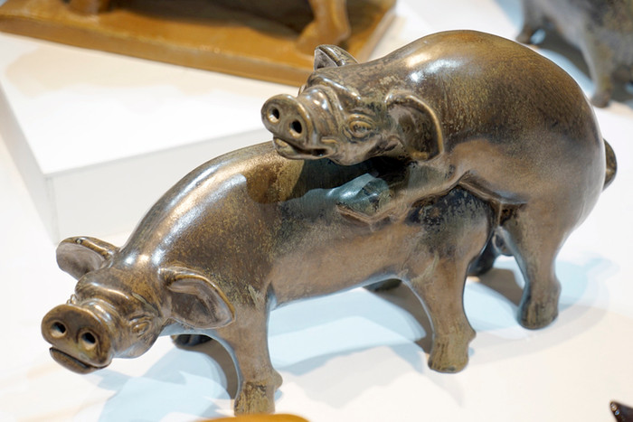 Cặp đôi lợn với sinh tồn bản năng. Ảnh: Tùng Dương.