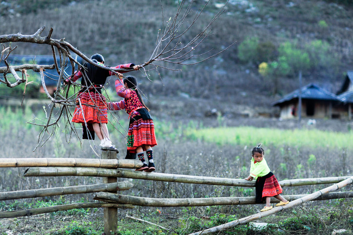 Bản Pà Cò của người H&apos;Mông tại Mộc Châu- Sơn La. Ảnh: Tùng Dương.