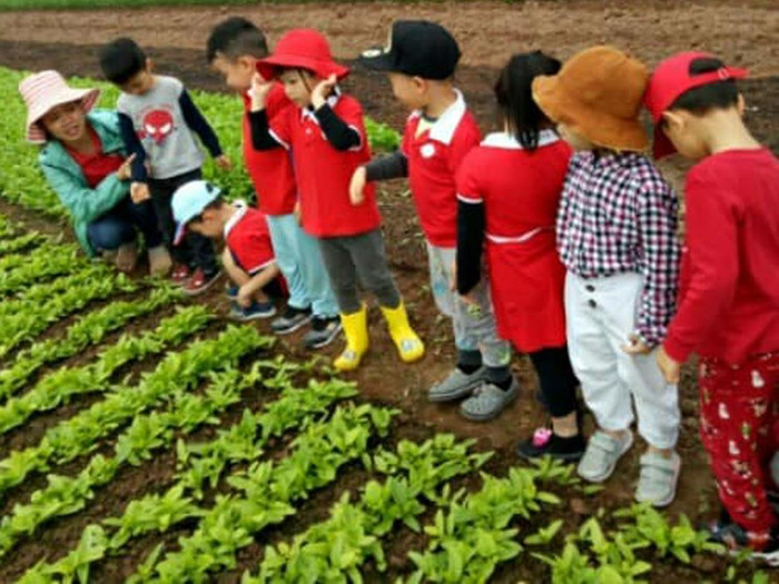 Các trẻ trong giờ học ngoại khóa. Ảnh minh họa - Nhân vật cung cấp. Các trẻ trong giờ học ngoại khóa. Ảnh minh họa - Nhân vật cung cấp.