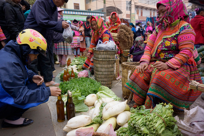 Khí hậu lạnh quanh năm nên rau củ rất to và tươi. Ảnh: Tùng Dương.