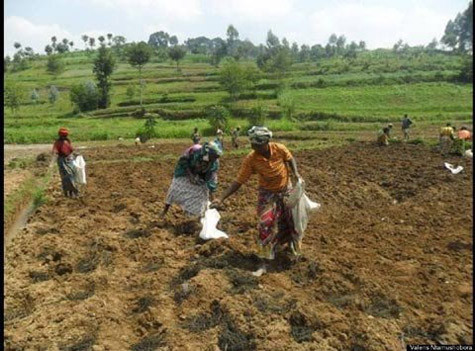 Valens Ntamushobora: Thông qua một tổ chức gồm 300 thành viên, tập trung giúp đỡ những cô gái và phụ nữ nghèo ở các vùng quê, sáng kiến “Chương trình Lusa của Valens Ntamushobora” giúp phụ nữ làm nông nghiệp bền vững với mục tiêu cung cấp việc làm sinh lợi nhuận cho phụ nữ ở Rwanda. Valens Ntamushobora: Thông qua một tổ chức gồm 300 thành viên, tập trung giúp đỡ những cô gái và phụ nữ nghèo ở các vùng quê, sáng kiến “Chương trình Lusa của Valens Ntamushobora” giúp phụ nữ làm nông nghiệp bền vững với mục tiêu cung cấp việc làm sinh lợi nhuận cho phụ nữ ở Rwanda.