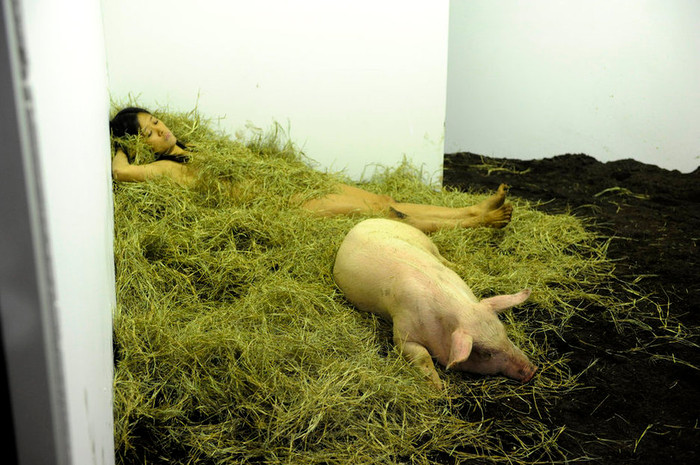 ... tự thân Miru Kim chui vào trong một căn phòng bằng kính cùng các chú lợn với tên tác phẩm là “Tôi yêu lợn, lợn cũng yêu tôi” trong 4 ngày. ... tự thân Miru Kim chui vào trong một căn phòng bằng kính cùng các chú lợn với tên tác phẩm là “Tôi yêu lợn, lợn cũng yêu tôi” trong 4 ngày.