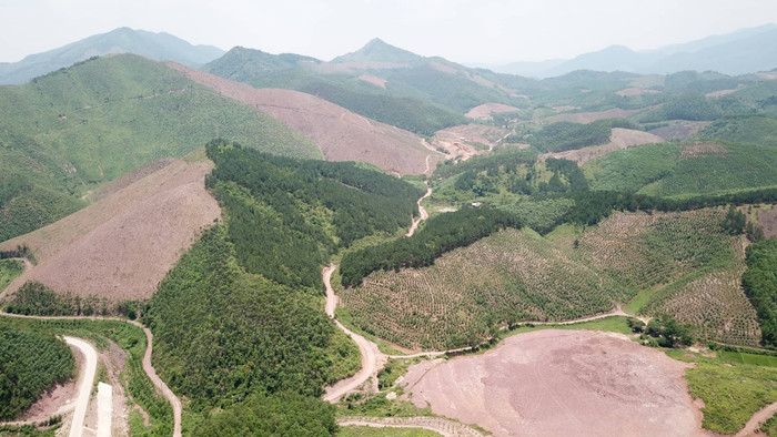 Từ trên cao nhìn xuống, các cánh rừng phòng hộ bị phá nham nhở.