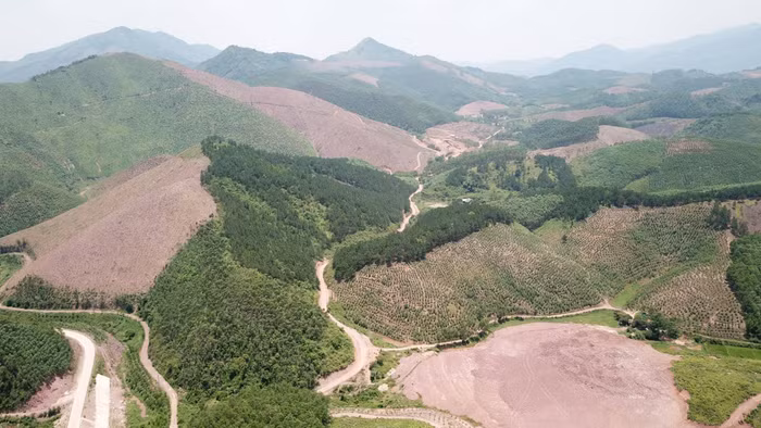 Từ trên cao nhìn xuống, các cánh rừng phòng hộ bị phá nham nhở.