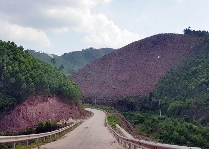 Từ tỉnh lộ 293 đi Bắc Giang, nhiều cánh rừng phòng hộ bị phá tan.