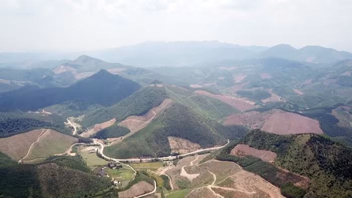 Rừng càng vào sâu thì càng bị phá nhiều.