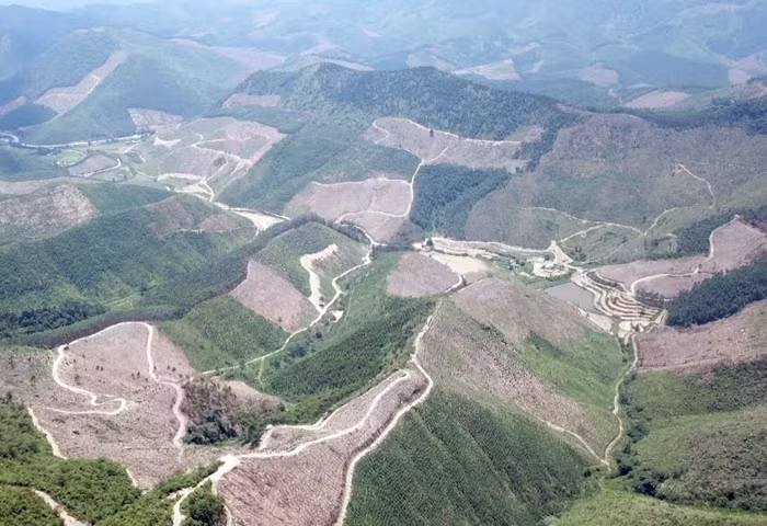 Những con đường ngoằn nghèo dùng để vận chuyển gỗ sau khi rừng phòng hộ bị tàn phá.