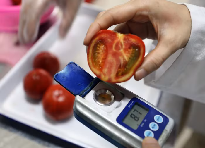 Phó giáo sư Nguyễn Minh Tân: "Nếu áp dụng công nghệ JEVA này sẽ giúp cho người nông dân ở Việt Nam có thể biến hoa quả mà họ sản xuất được thành những mặt hàng cô đặc có giá trị cao hơn”. Ảnh: Trần Công Đạt.