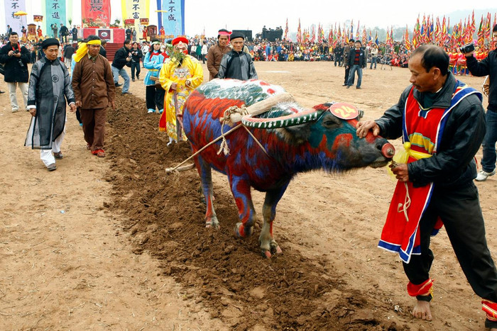 Sau phần khai hội, một cụ cao niên của xã Đọi Sơn đã thực hiện nghi lễ hóa thân thành hình tượng Vua Lê Đại Hành đi cày tịch điền khai xuân. Ảnh: Tùng Dương.