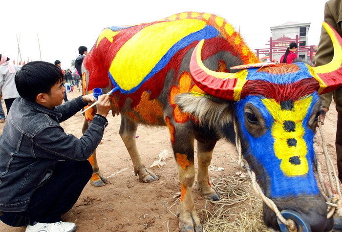Mọi người thỏa sức sáng tác trên những chú trâu với nhiều hoa văn, hình vẽ. Ảnh: Tùng Dương.