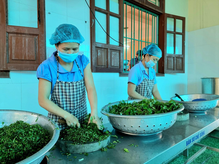 Các khâu chuẩn bị từ bàn chế biến thô, sơ chế và nấu ăn tuân thủ nguyên tắc bếp ăn một chiều và đảm bảo vệ sinh an toàn thực phẩm (Ảnh: Phương Linh) Các khâu chuẩn bị từ bàn chế biến thô, sơ chế và nấu ăn tuân thủ nguyên tắc bếp ăn một chiều và đảm bảo vệ sinh an toàn thực phẩm (Ảnh: Phương Linh)
