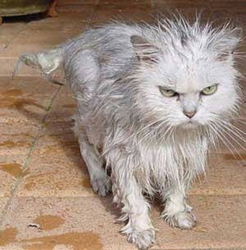 "Đây là lần cuối cùng nhá!"