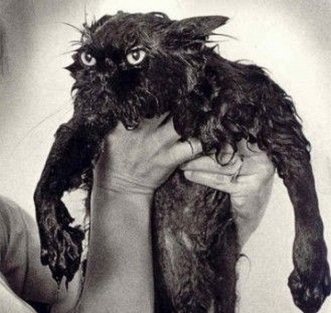 "Can đảm lên tôi ơi".