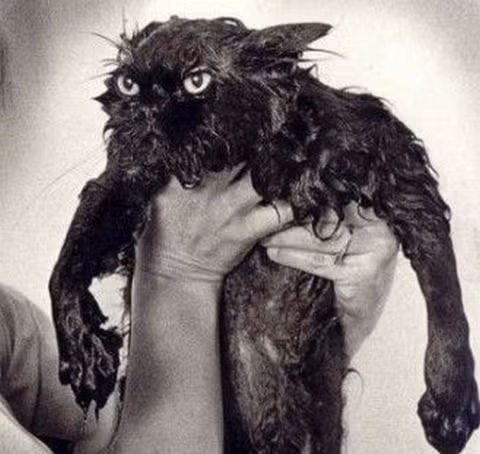 "Can đảm lên tôi ơi".