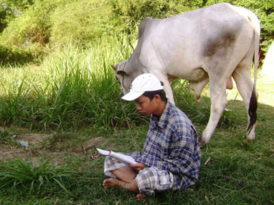 Đi chăn bò nhưng Võ Văn Huy luôn mang theo sách để tự ôn luyện Đi chăn bò nhưng Võ Văn Huy luôn mang theo sách để tự ôn luyện