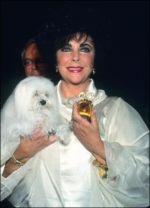 Khán giả nhiều thế hệ sẽ còn nhớ mãi về bà - nữ diên viên tài danh bậc nhất Hollywood, và là biểu tượng sắc đẹp phi thời gian. Xem thêm: Angela Baby : Mỹ nhân "dao kéo" đẹp nhất điện ảnh Hoa ngữ