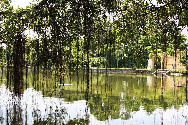 Ao làng được bao quanh bởi các ngõ xóm và các từ đường, miếu mạo cũng như những thửa vườn nhỏ xinh của người dân trong làng. Ao làng được bao quanh bởi các ngõ xóm và các từ đường, miếu mạo cũng như những thửa vườn nhỏ xinh của người dân trong làng.