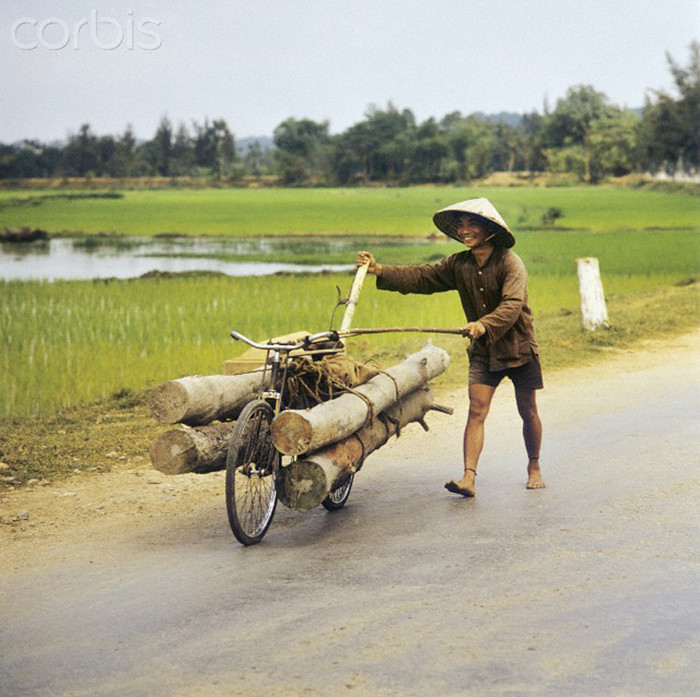 Một người đàn ông chân trần, đầu đội nón lá đang vận chuyển những cây gỗ trên chiếc xe đạp của mình gần thị xã Vinh, tháng 3/1973. Ảnh: Werner Schulze/dpa/Corbis. Một người đàn ông chân trần, đầu đội nón lá đang vận chuyển những cây gỗ trên chiếc xe đạp của mình gần thị xã Vinh, tháng 3/1973. Ảnh: Werner Schulze/dpa/Corbis.