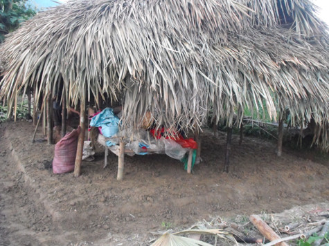 Căn nhà nhỏ mới làm của chị Lan chỉ đủ để đặt một chiếc giường và cái bếp lửa. Căn nhà nhỏ mới làm của chị Lan chỉ đủ để đặt một chiếc giường và cái bếp lửa.