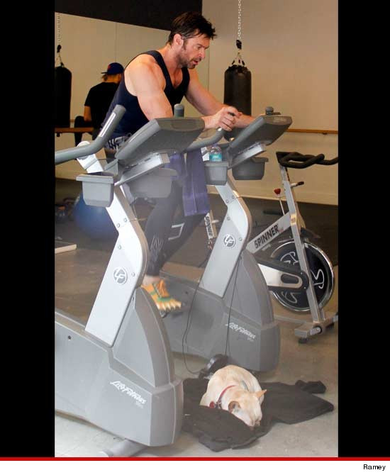 Hugh Jackman tại phòng gym tại tư gia ở West Village, nơi xảy ra vụ tấn công. Hugh Jackman tại phòng gym tại tư gia ở West Village, nơi xảy ra vụ tấn công.