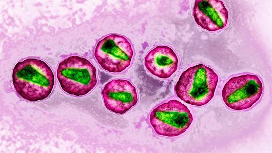 Đột phá khoa học mang lại hy vọng cho bệnh nhân AIDS ảnh 1 Đột phá khoa học mang lại hy vọng cho bệnh nhân AIDS ảnh 1