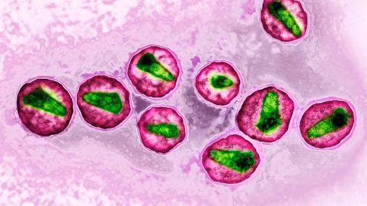 Đột phá khoa học mang lại hy vọng cho bệnh nhân AIDS ảnh 1