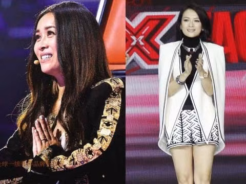 Na Anh tỏ ra có phần nhỏ mọn khi nhận xét về vị trí của Chương Tử Di tại The X-Factor.