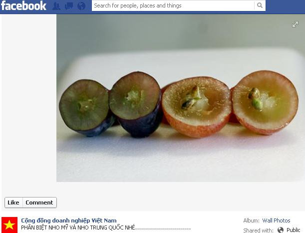 Theo cộng đồng mạng, bên phải là nho Trung Quốc nhái nho Mỹ Theo cộng đồng mạng, bên phải là nho Trung Quốc nhái nho Mỹ