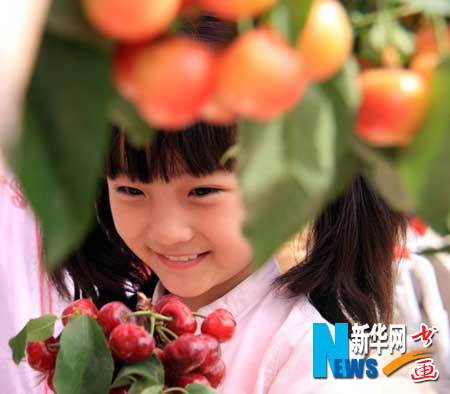 Ngoài ra Lâm Diệu Khả còn có các biệt danh như Diệu Khả công chúa, Bé gái áo đỏ, bé gái Olympic.