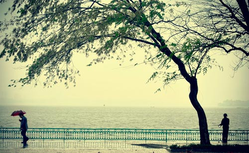 Gió thổi lạnh buốt qua hàng cây ven hồ Tây.