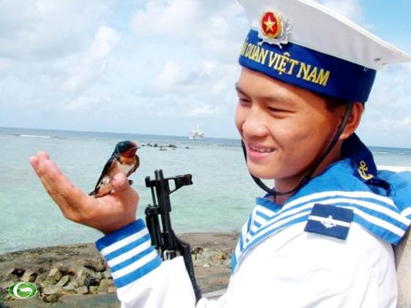 Bạn của đảo. Ảnh Lê Bá Dương.