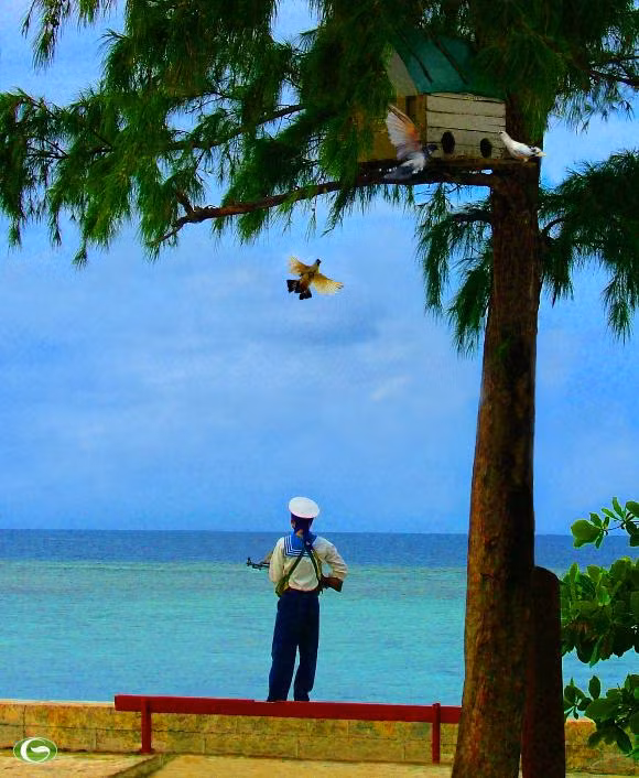 Lãng mạn Trường Sa. Ảnh Lê Bá Dương.