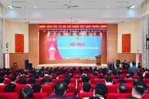 Sắp xếp hệ thống GDNN-GDTX tinh gọn, hiệu quả, không sáp nhập cơ học
