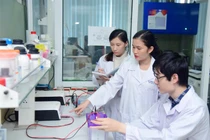 Hoạt động nghiên cứu khoa học trong trường đại học luôn được cơ sở giáo dục đại học chú trọng. Ảnh: website HUST