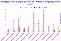 So sánh đội ngũ giảng viên cơ hữu giữa trường công và tư thục trong đào tạo Răng – Hàm – Mặt